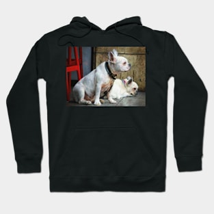 Two dogs Hoodie